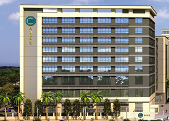 走进世界杯足球赛2022年